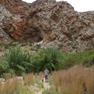 The Top 10 Things To Do In Montagu