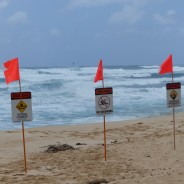 Windy Oahu